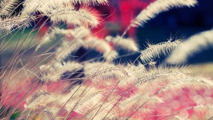 剪板机发展史的简述