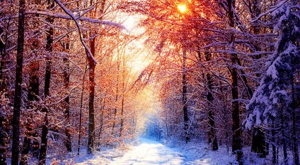 冬季将疾病拒之门外